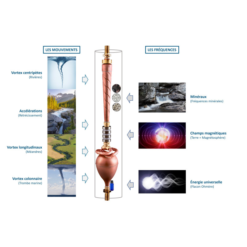 dynamisation, filtration, information dynamisation, filtration, information