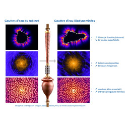 dynamisation, filtration, information