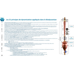 dynamisation, filtration, information